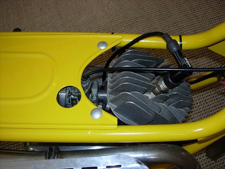 Veteraner Everton Go-Go billede 9