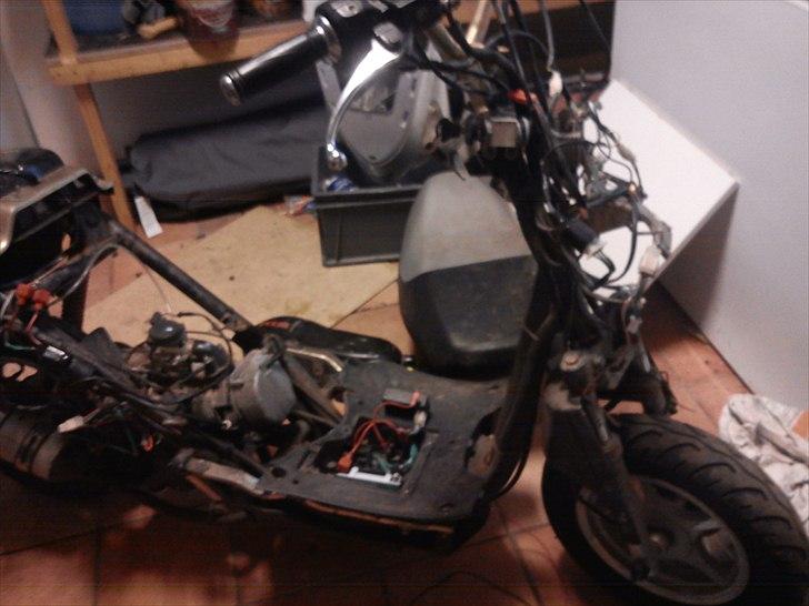 Texas reserve scooter billede 4