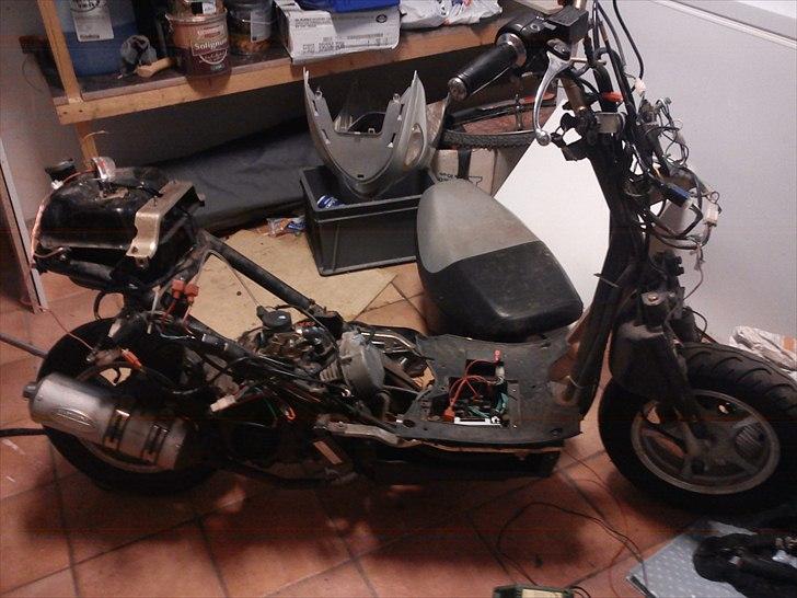 Texas reserve scooter billede 5