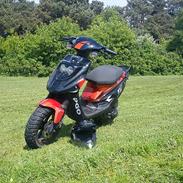 PGO Hot 50 SP 12" alu 6 eger 