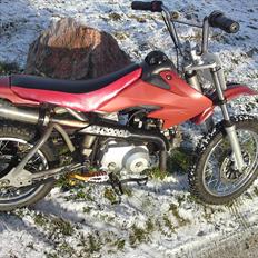 MiniBike dirtebike (TIL SALG BYD)