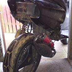 Yamaha Neo's (SOLGT)