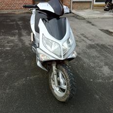 PGO g-max byttet