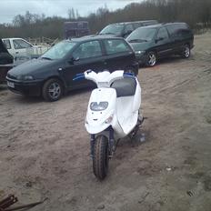 Gilera stalker fed 