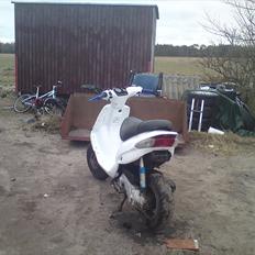 Gilera stalker fed 