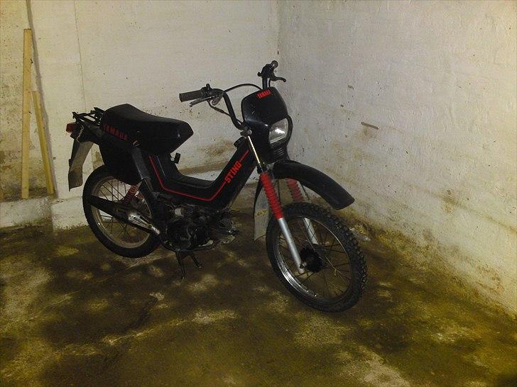 Yamaha sting billede 8