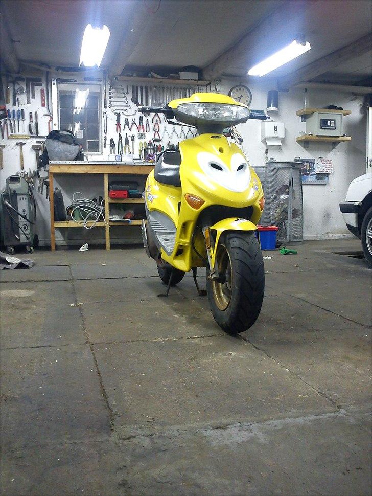 Adly SIlver Fox @ Byttet billede 1