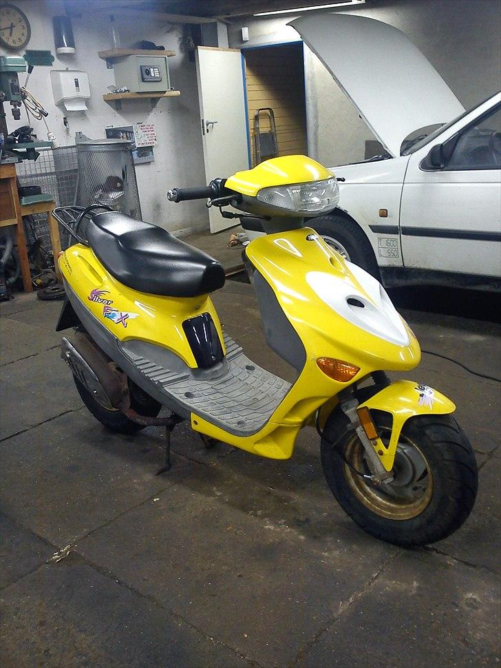 Adly SIlver Fox @ Byttet billede 2