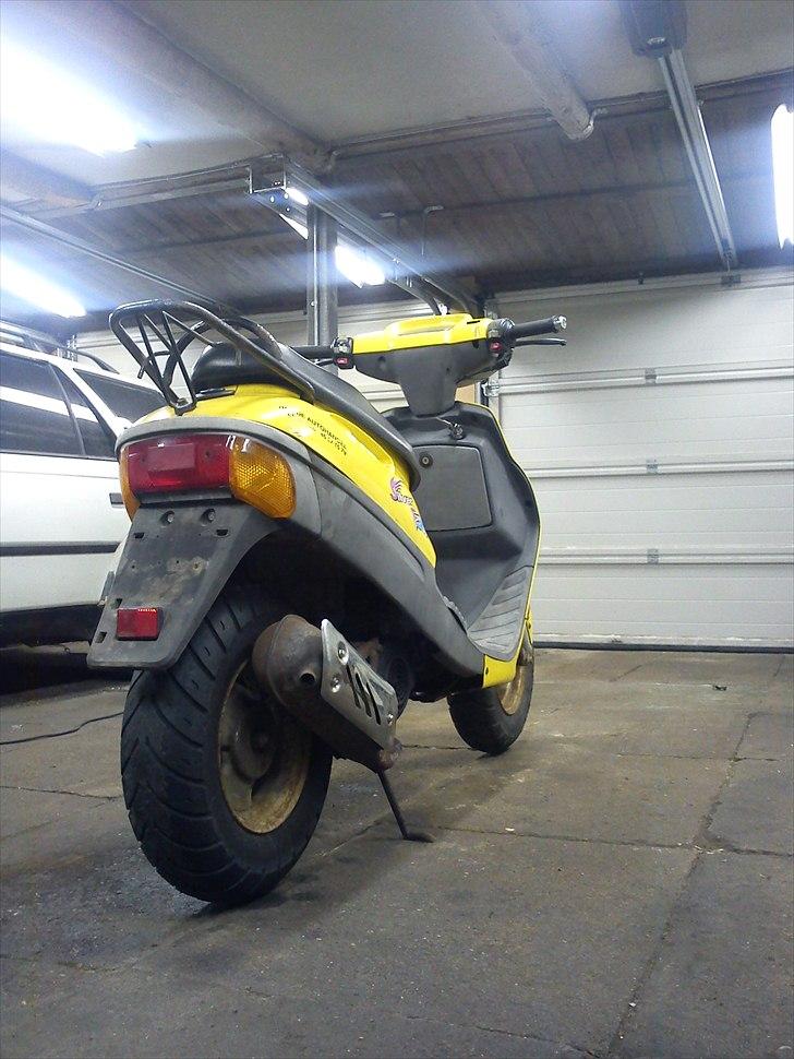 Adly SIlver Fox @ Byttet billede 3