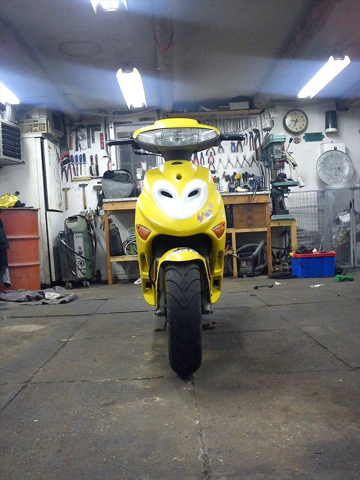 Adly SIlver Fox @ Byttet billede 5