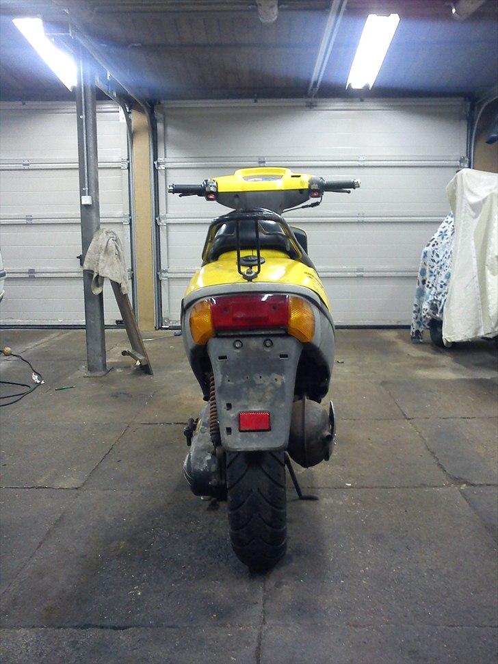 Adly SIlver Fox @ Byttet billede 6