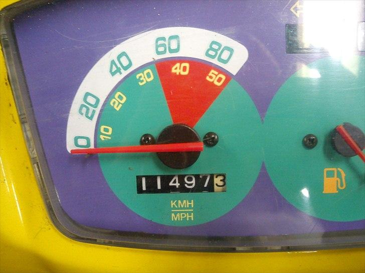 Adly SIlver Fox @ Byttet billede 7