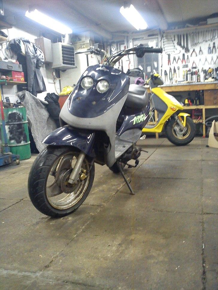 Adly Cat 50 @ Sælges billede 1