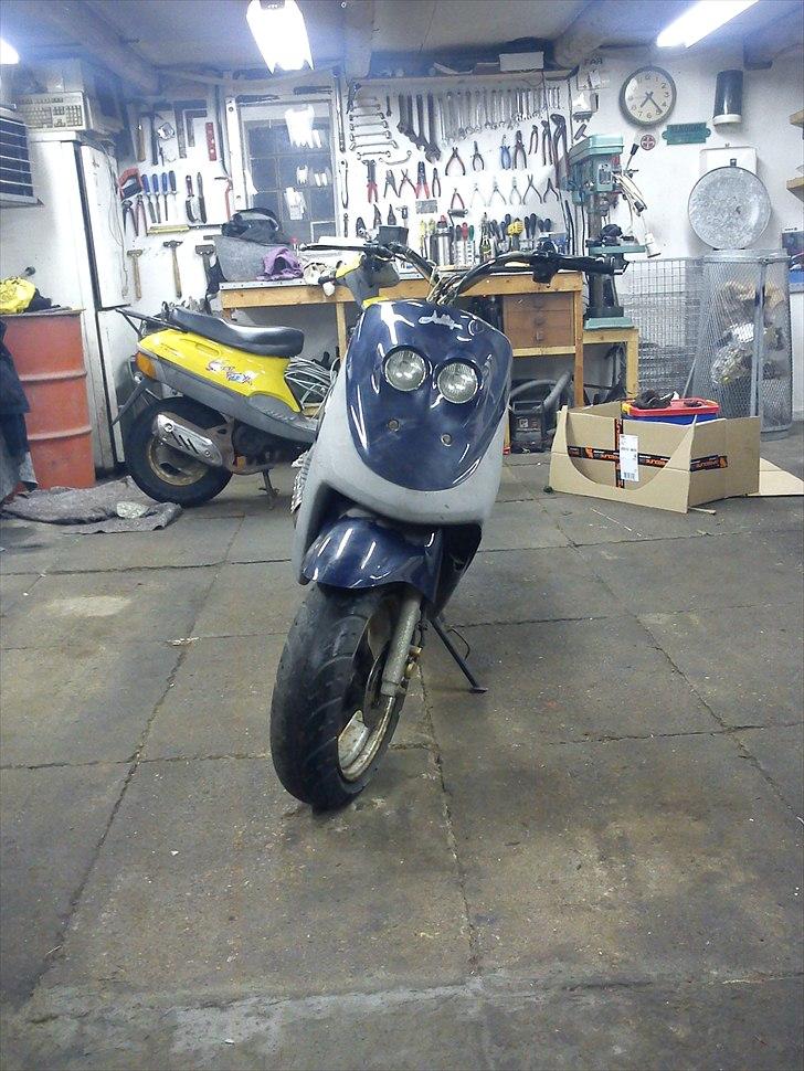 Adly Cat 50 @ Sælges billede 2