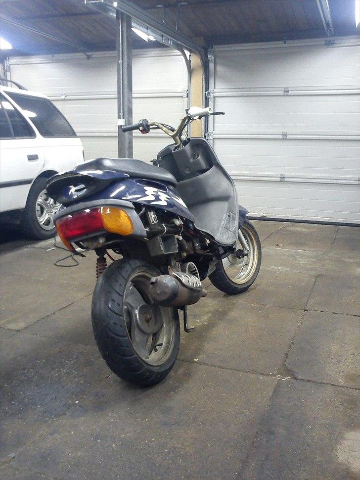 Adly Cat 50 @ Sælges billede 5