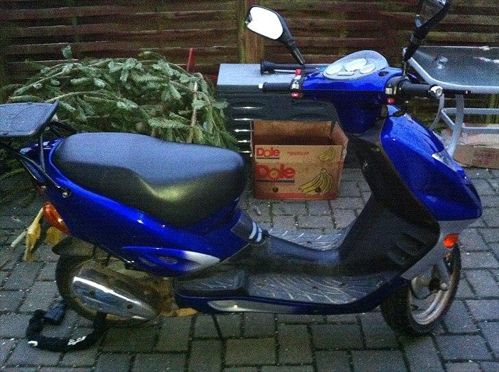 Adly  tmp gazelle: solgt billede 1