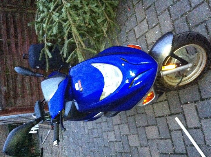 Adly  tmp gazelle: solgt billede 2