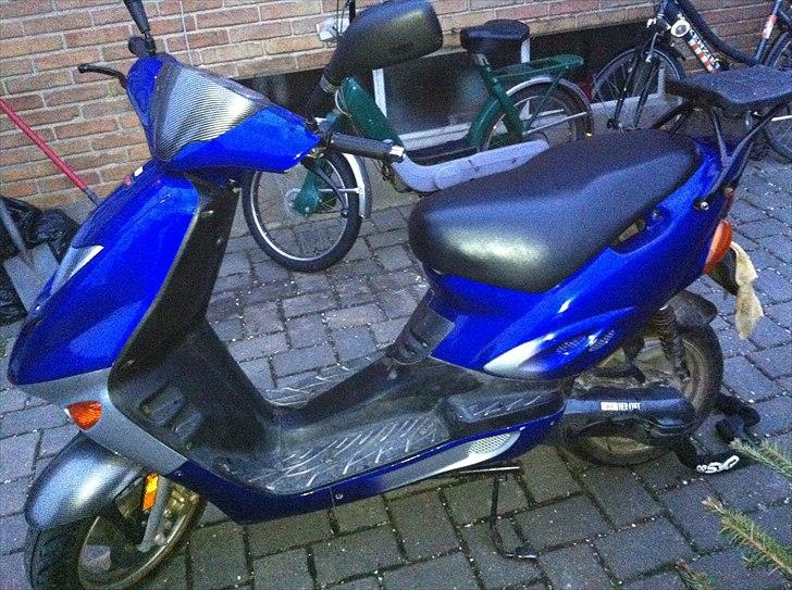 Adly  tmp gazelle: solgt billede 3
