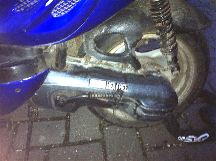 Adly  tmp gazelle: solgt billede 6