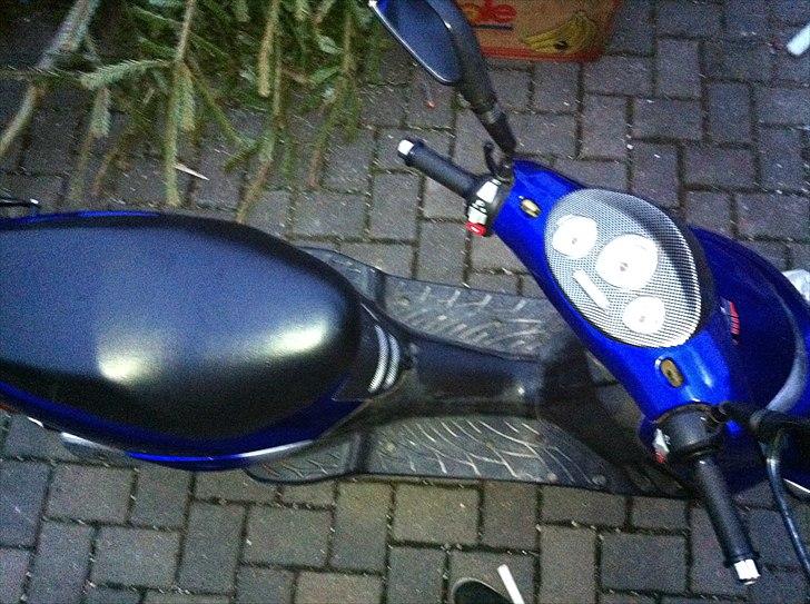 Adly  tmp gazelle: solgt billede 8