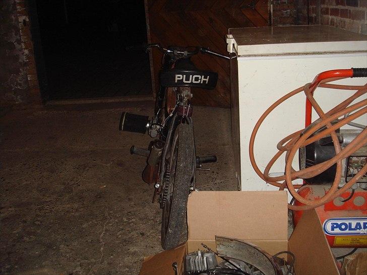 Puch Maxi/BWS billede 5