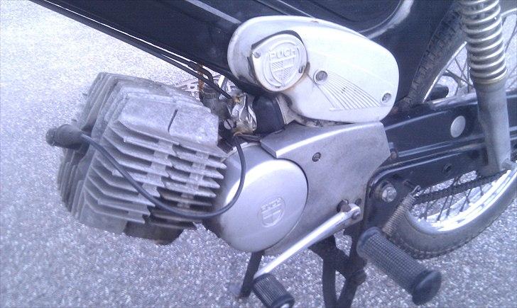 Puch  VZ flagskib billede 3