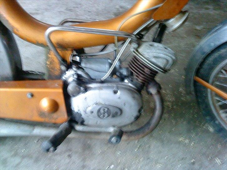Sachs monark billede 2