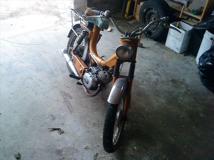 Sachs monark billede 3