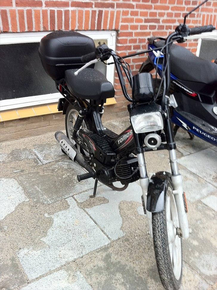 Tomos Standard billede 4