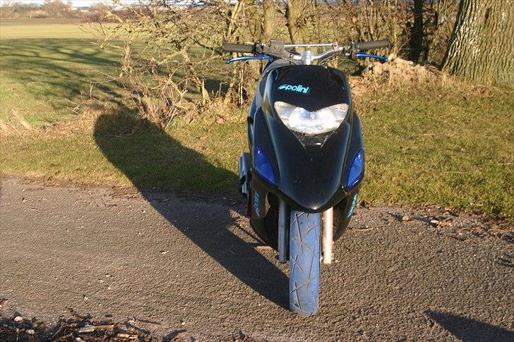 Honda sfx [tidl scooter] billede 3
