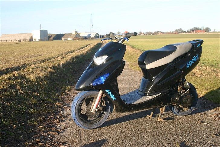 Honda sfx [tidl scooter] billede 12