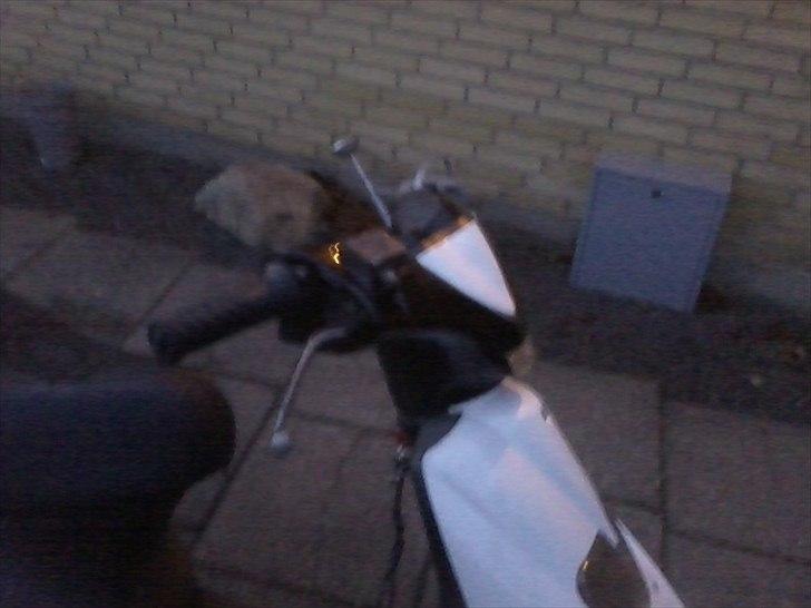 Gilera stalker billede 6