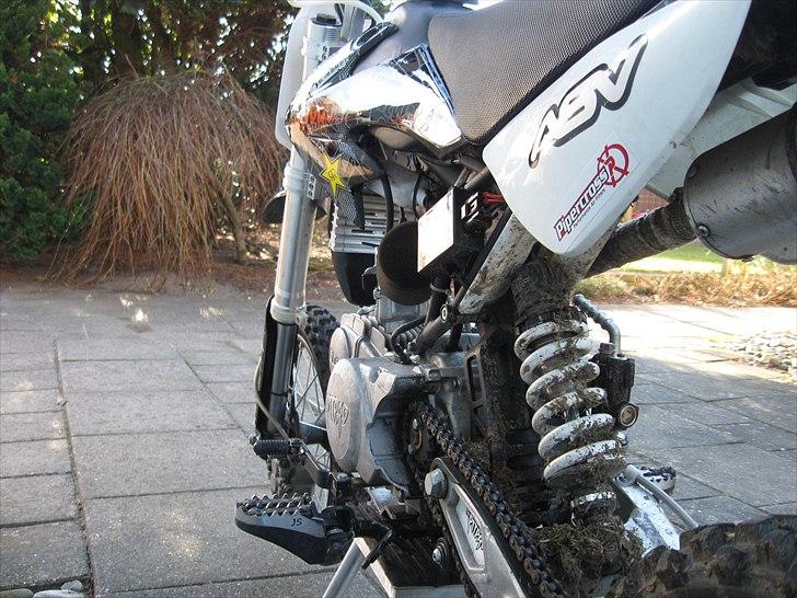 Pitpro Pro Lite 150cc billede 5