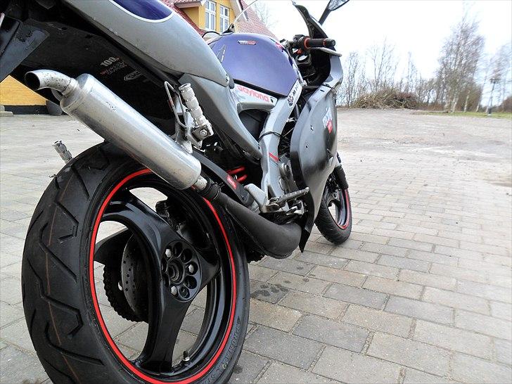 Aprilia RS50 billede 5