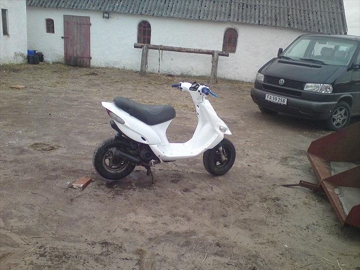 Gilera stalker fed  billede 1