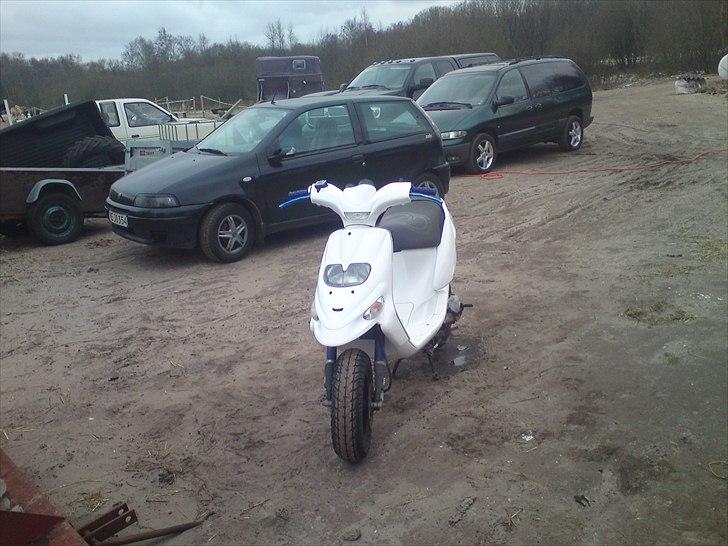 Gilera stalker fed  billede 2