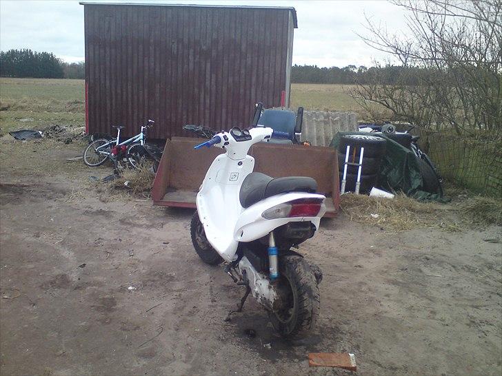 Gilera stalker fed  billede 3