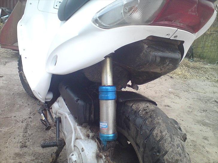 Gilera stalker fed  billede 4