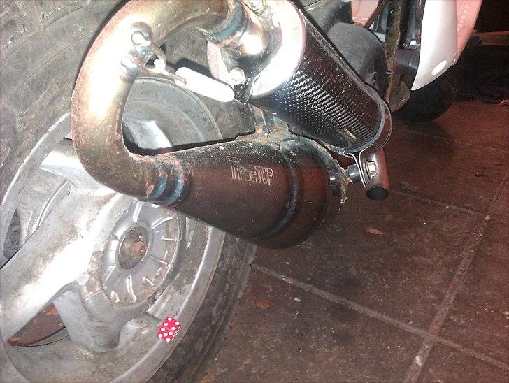 Gilera Stalker AC (vinterhi) billede 7