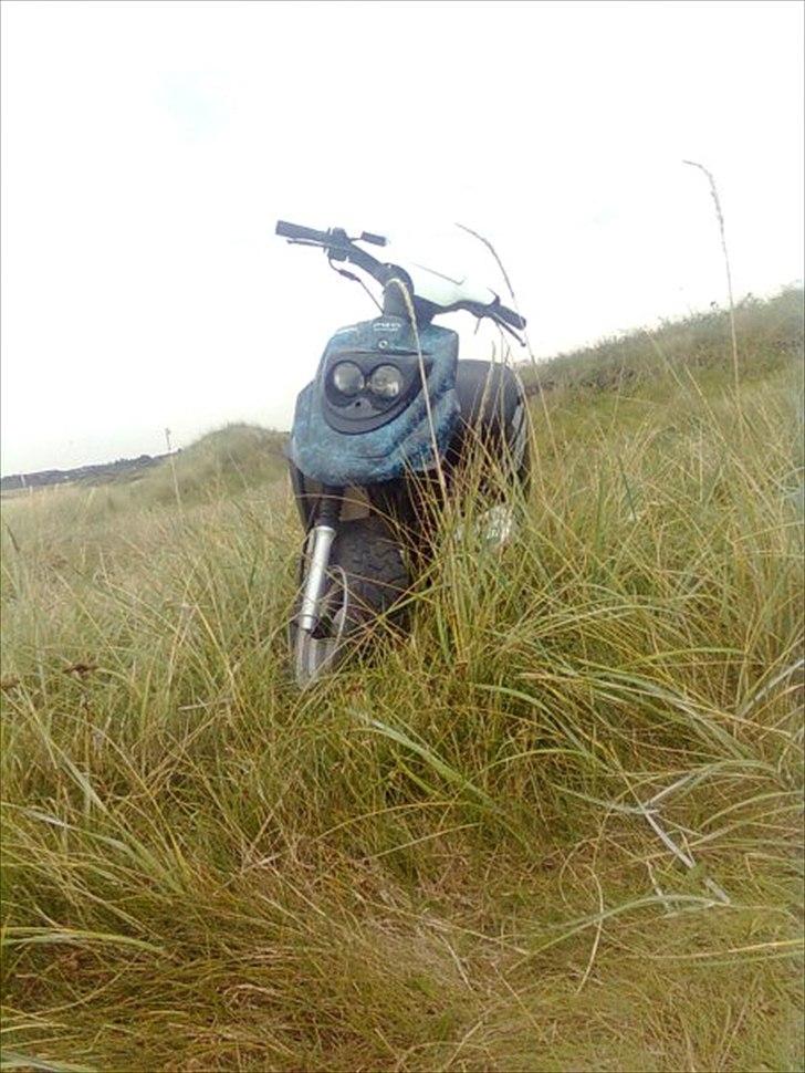 PGO Hot 50 solgt billede 2