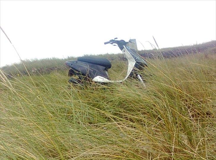 PGO Hot 50 solgt billede 6