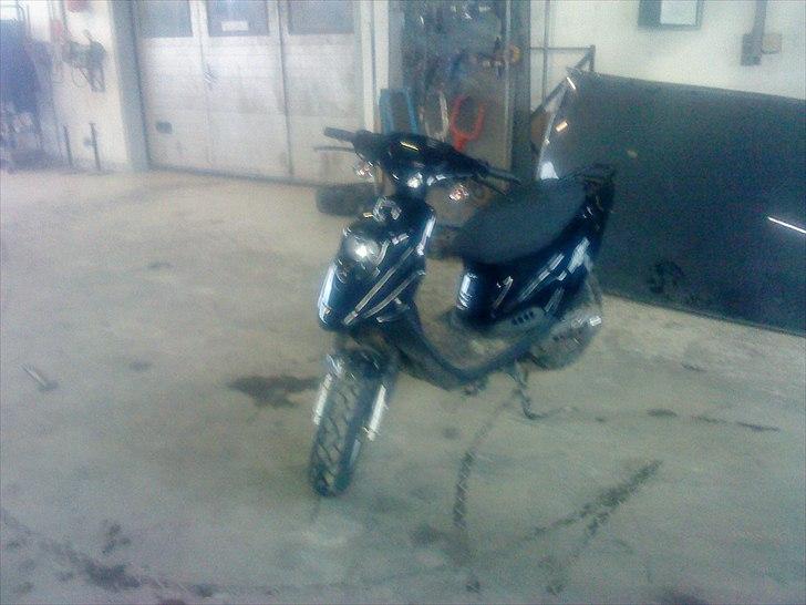 PGO hot 50 solgt billede 2