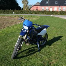 Suzuki RMX