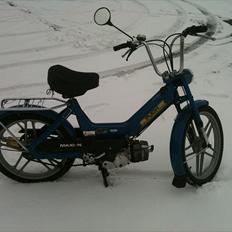 Puch Maxi N