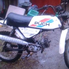 Puch pioneer