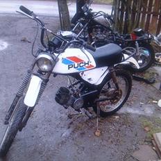 Puch pioneer