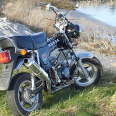 Honda Dax 