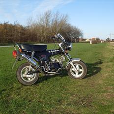 Honda Dax 