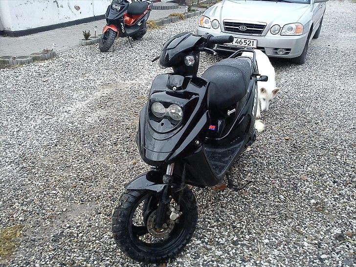 PGO Hot 50 billede 2