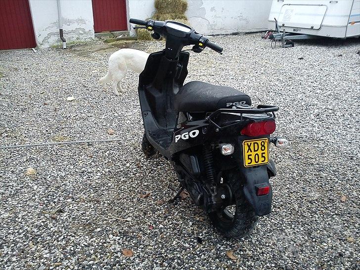 PGO Hot 50 billede 4